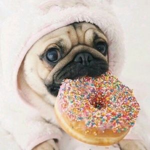 Meet your Posher, Claudia